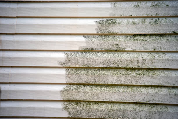 Custom Trim and Detailing for Siding in Hancock, MI