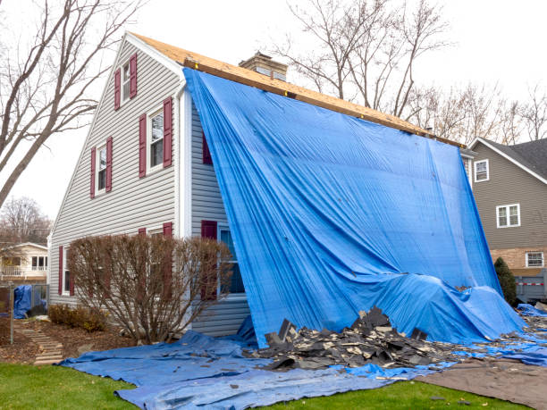 Best Historical Building Siding Restoration  in Hancock, MI