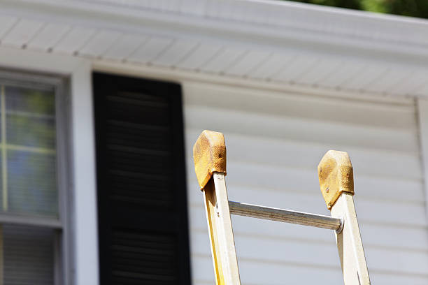 Best Custom Siding Design  in Hancock, MI